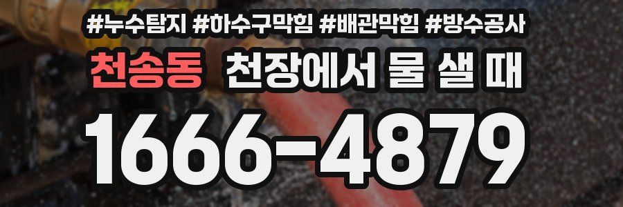 천송동 천장에서 물 샐 때