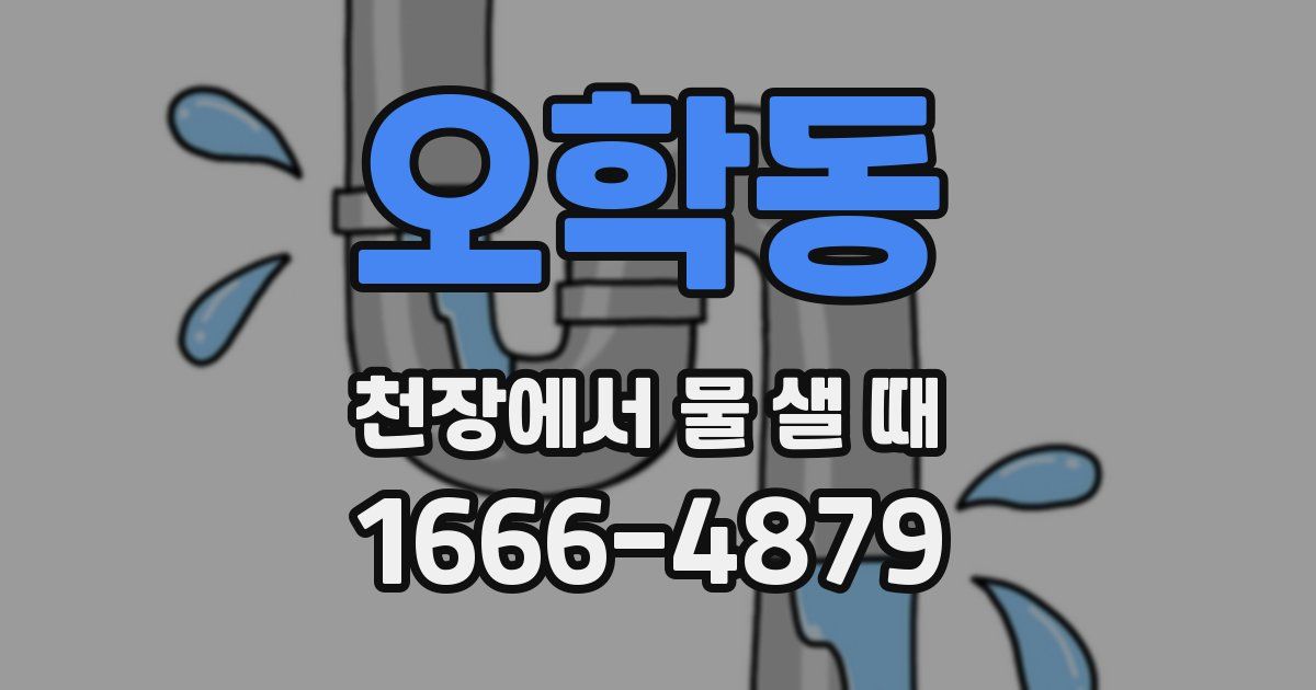 오학동 천장에서 물 샐 때