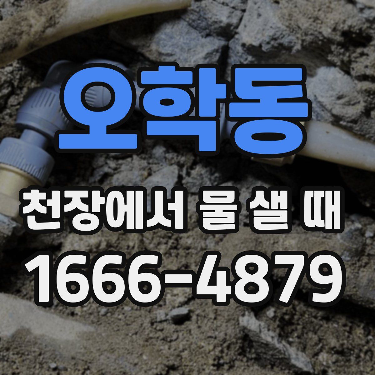 오학동 천장에서 물 샐 때