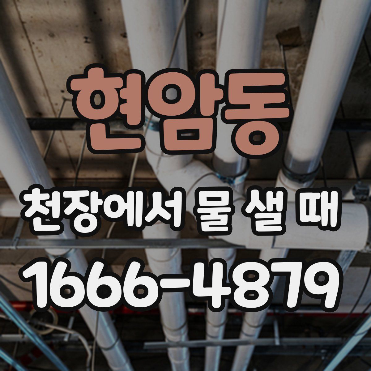 현암동 천장에서 물 샐 때