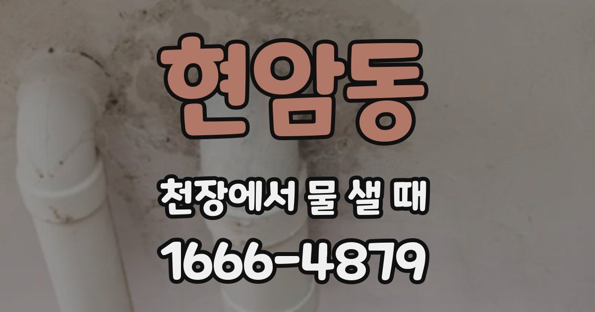 현암동 천장에서 물 샐 때