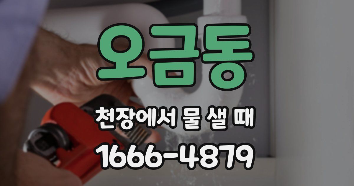 오금동 천장에서 물 샐 때