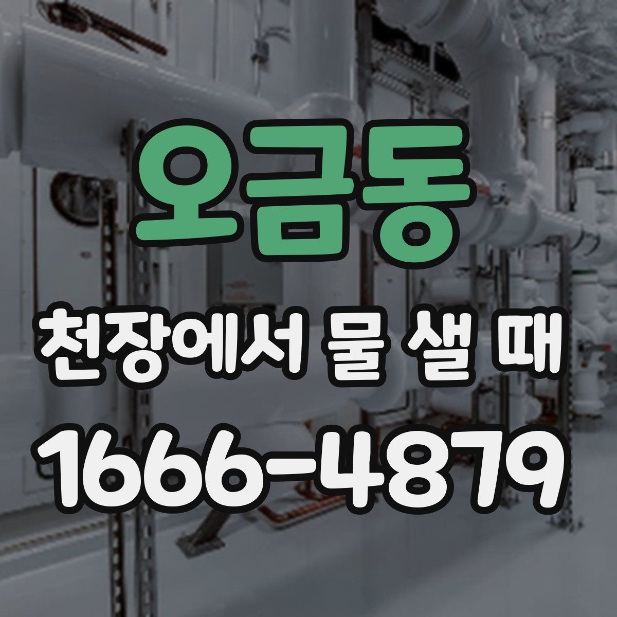 오금동 천장에서 물 샐 때