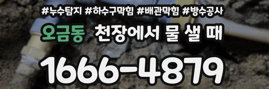 오금동 천장에서 물 샐 때