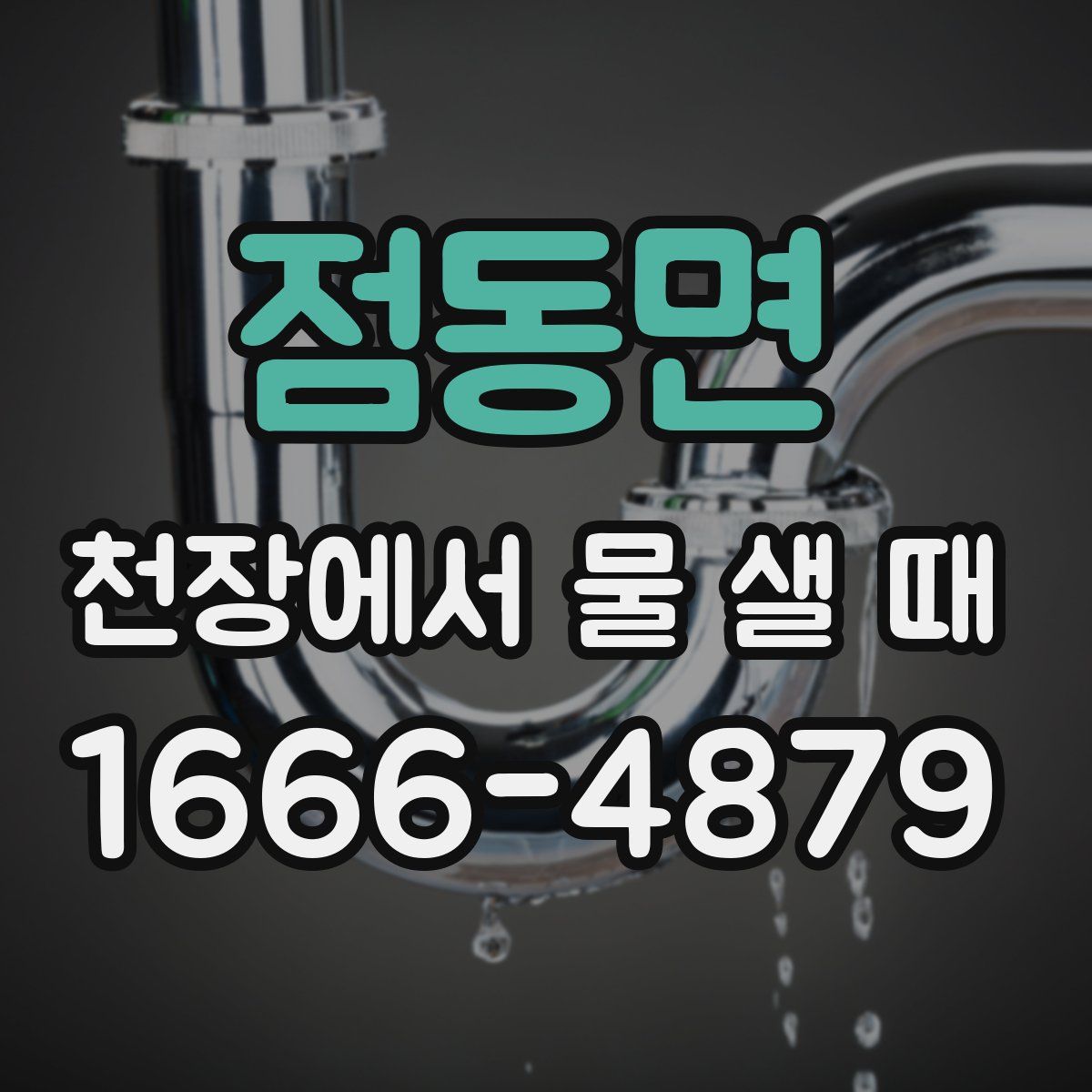 점동면 천장에서 물 샐 때