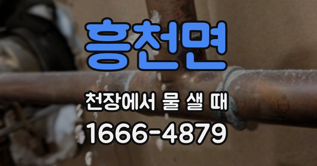 흥천면 천장에서 물 샐 때
