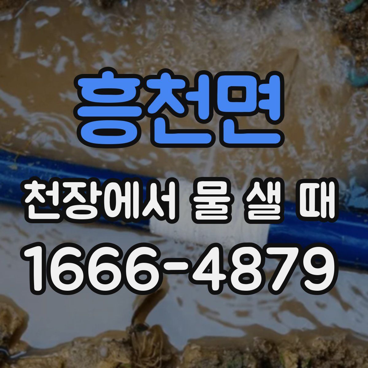 흥천면 천장에서 물 샐 때
