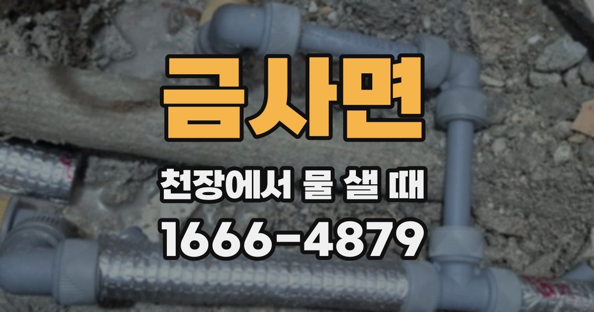 금사면 천장에서 물 샐 때
