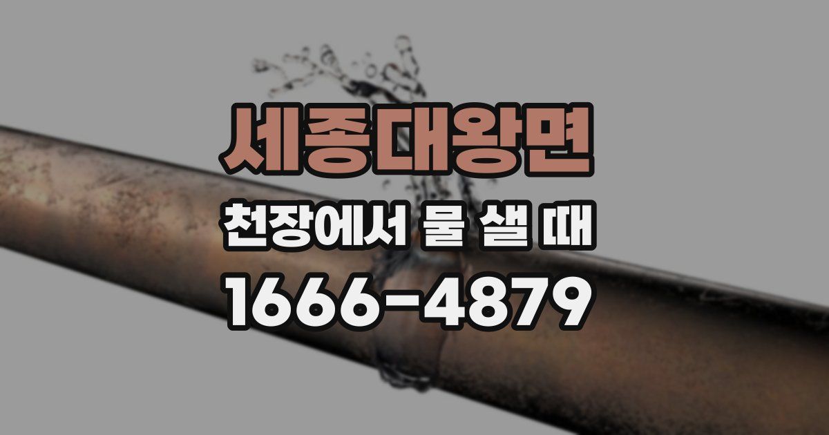 세종대왕면 천장에서 물 샐 때