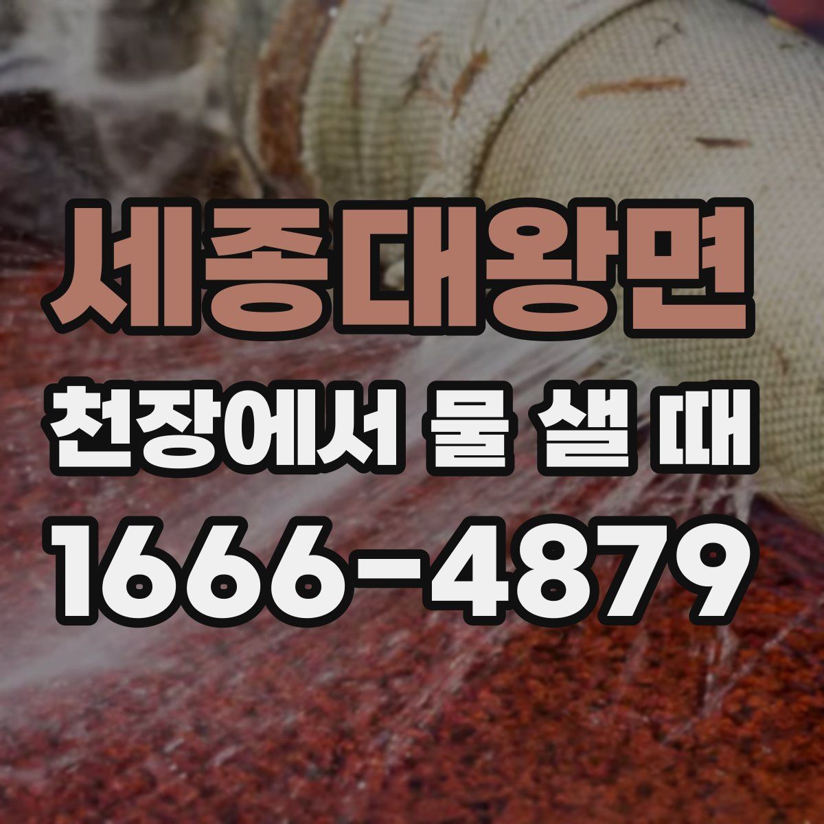 세종대왕면 천장에서 물 샐 때