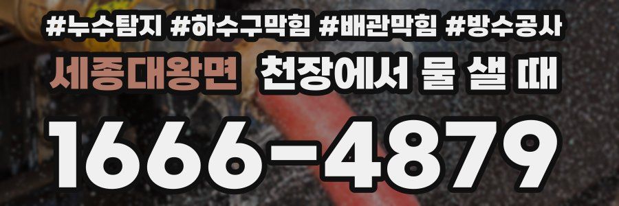 세종대왕면 천장에서 물 샐 때