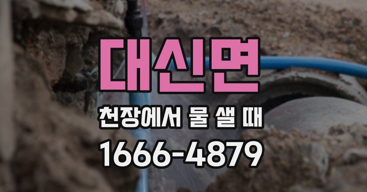 대신면 천장에서 물 샐 때