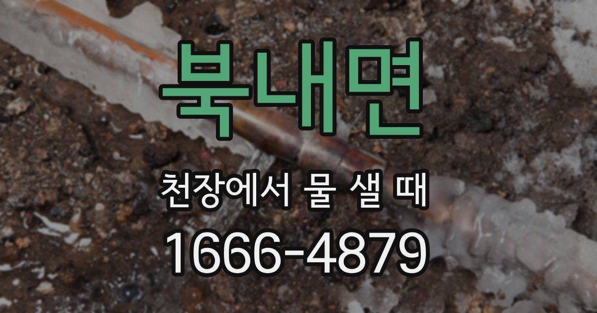 북내면 천장에서 물 샐 때