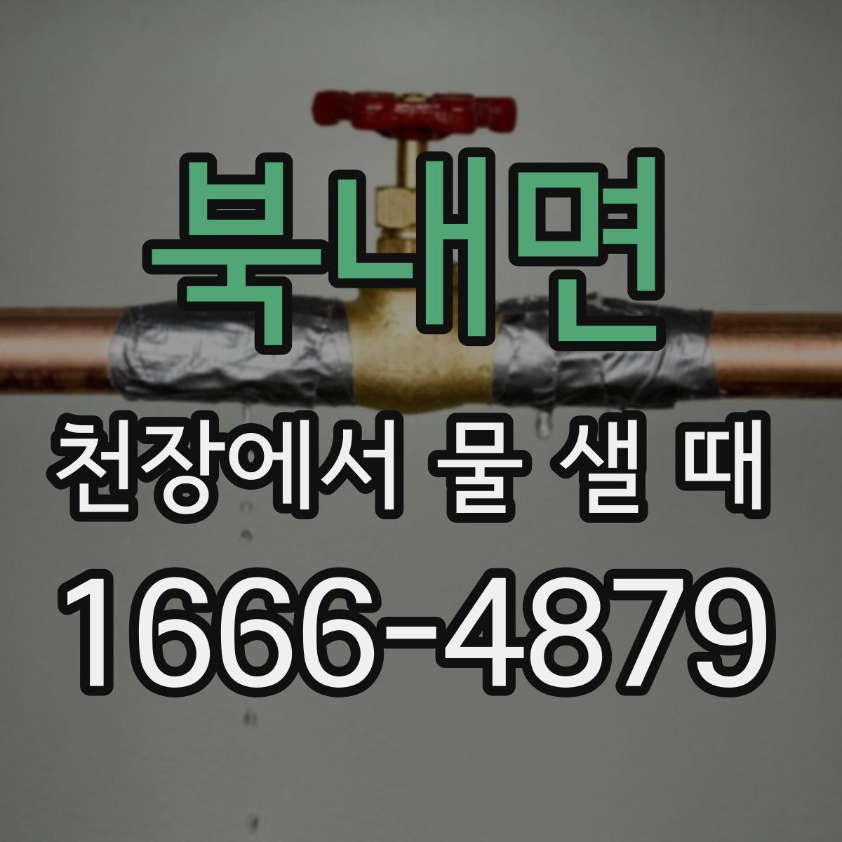 북내면 천장에서 물 샐 때