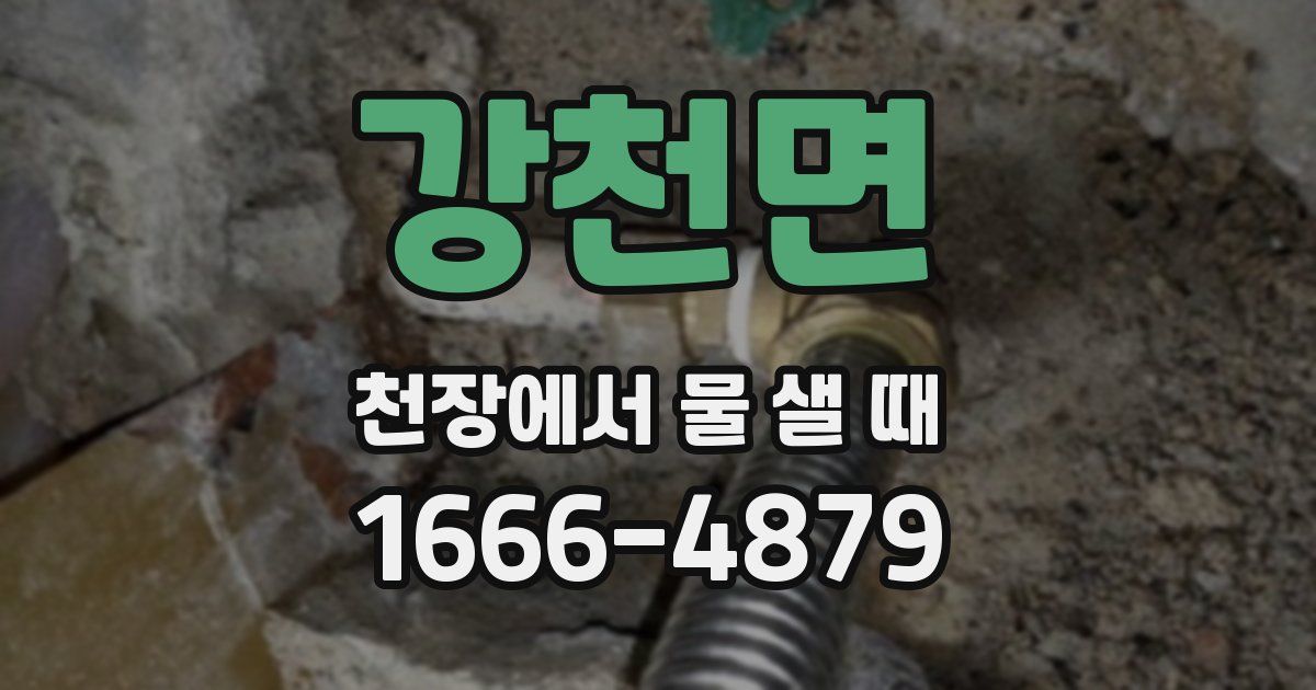 강천면 천장에서 물 샐 때
