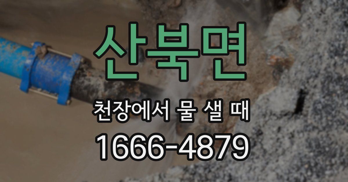 산북면 천장에서 물 샐 때