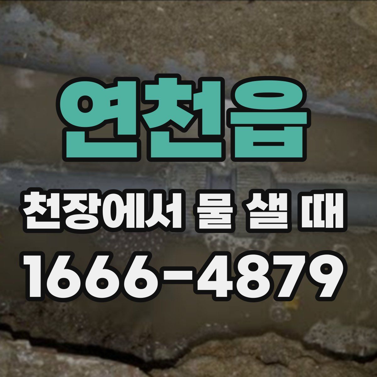 연천읍 천장에서 물 샐 때