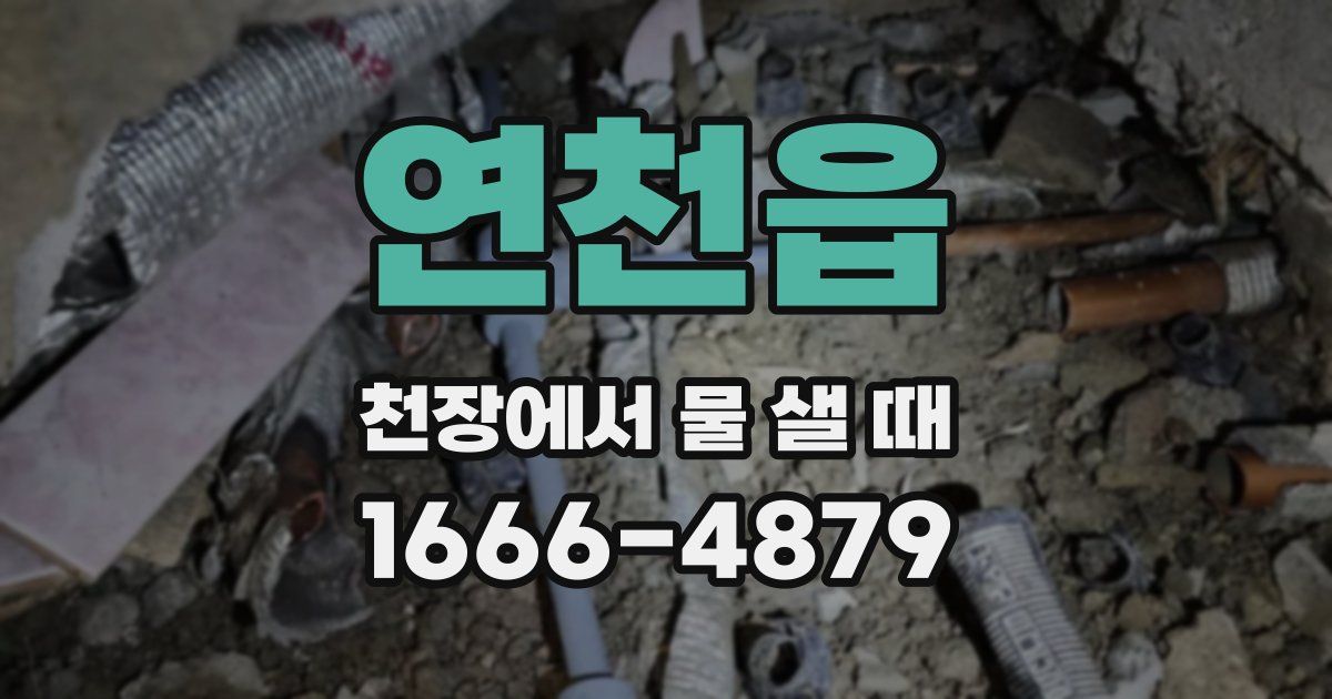 연천읍 천장에서 물 샐 때