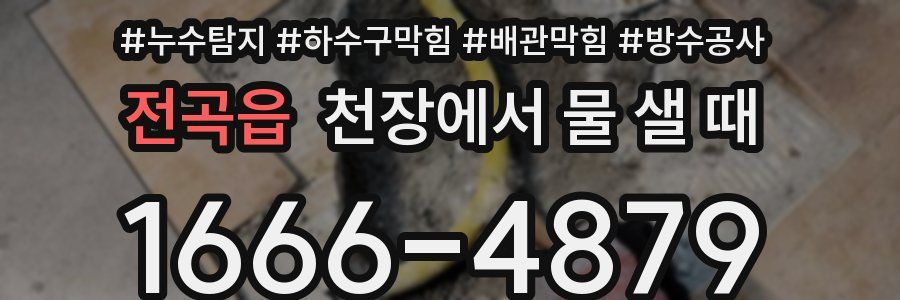 전곡읍 천장에서 물 샐 때