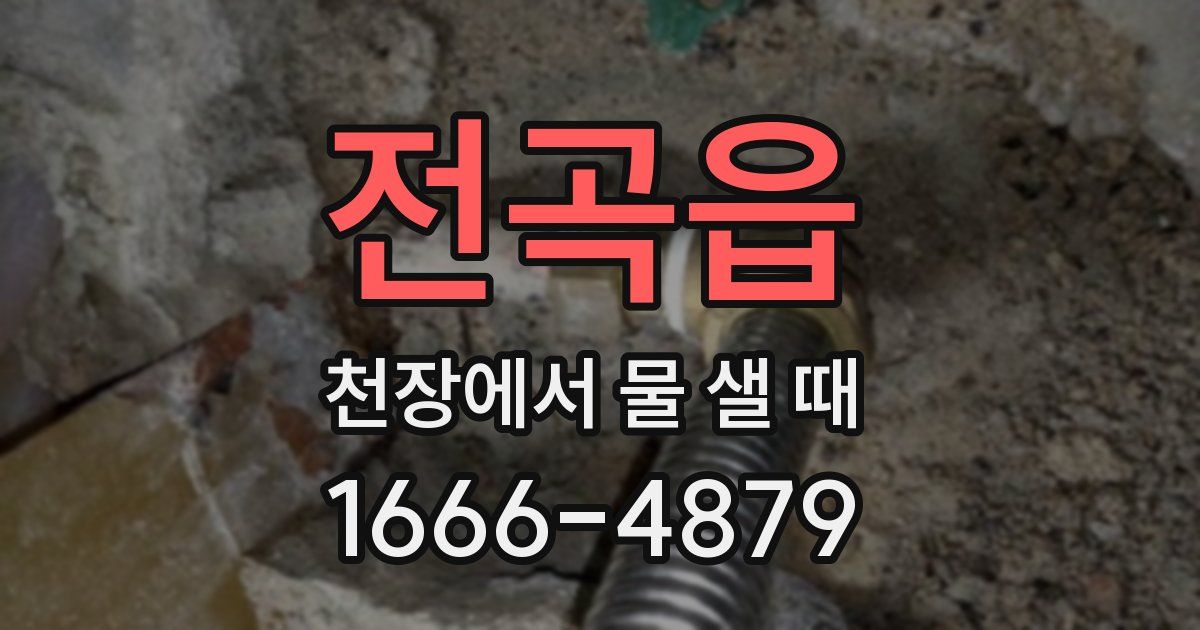 전곡읍 천장에서 물 샐 때