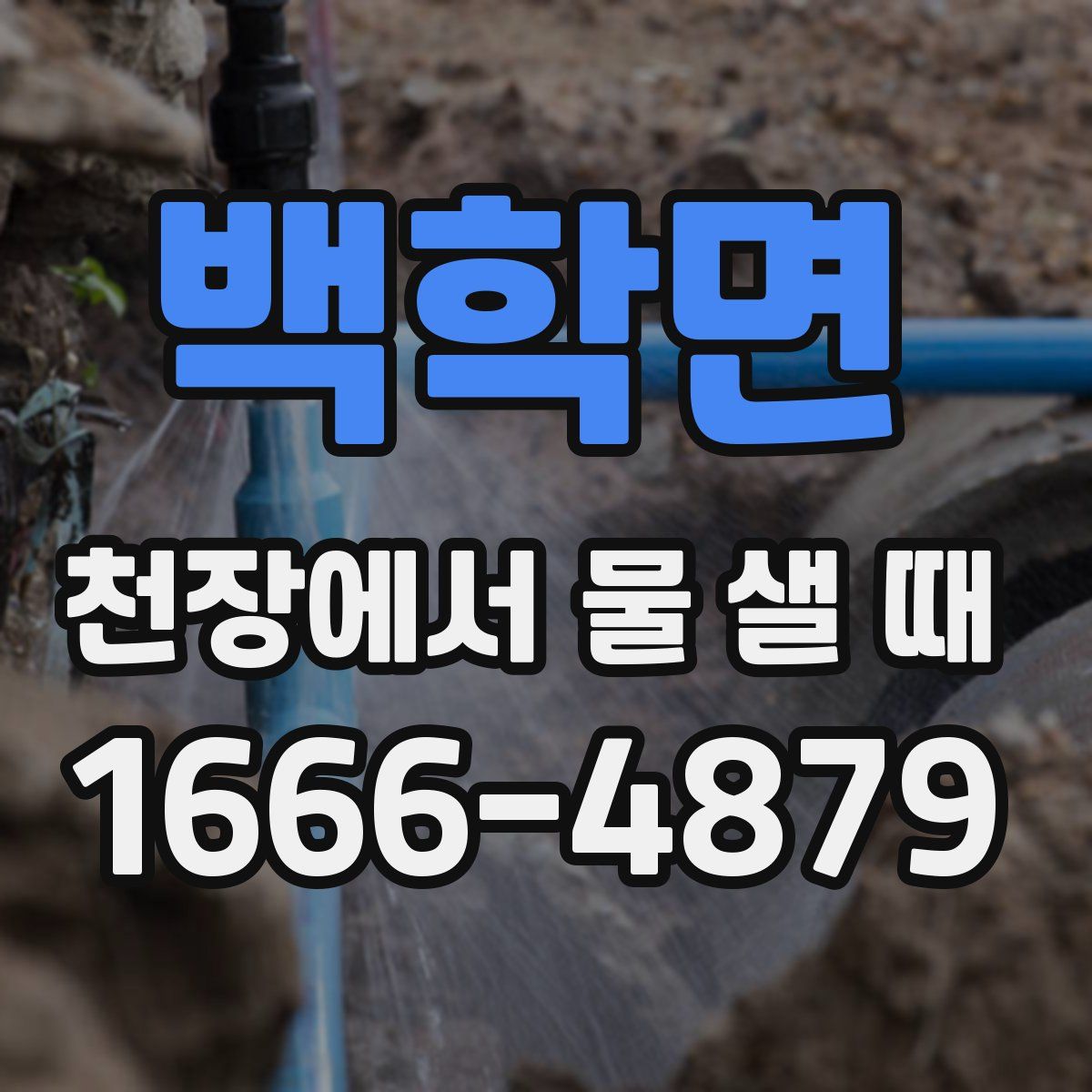 백학면 천장에서 물 샐 때