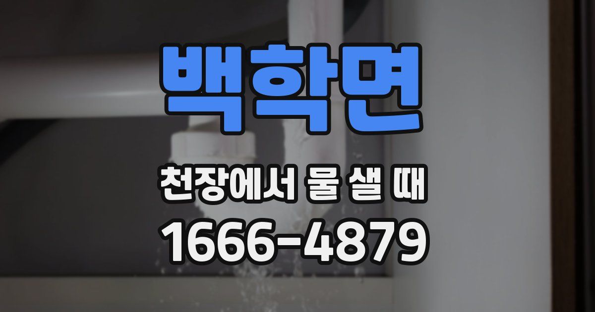 백학면 천장에서 물 샐 때