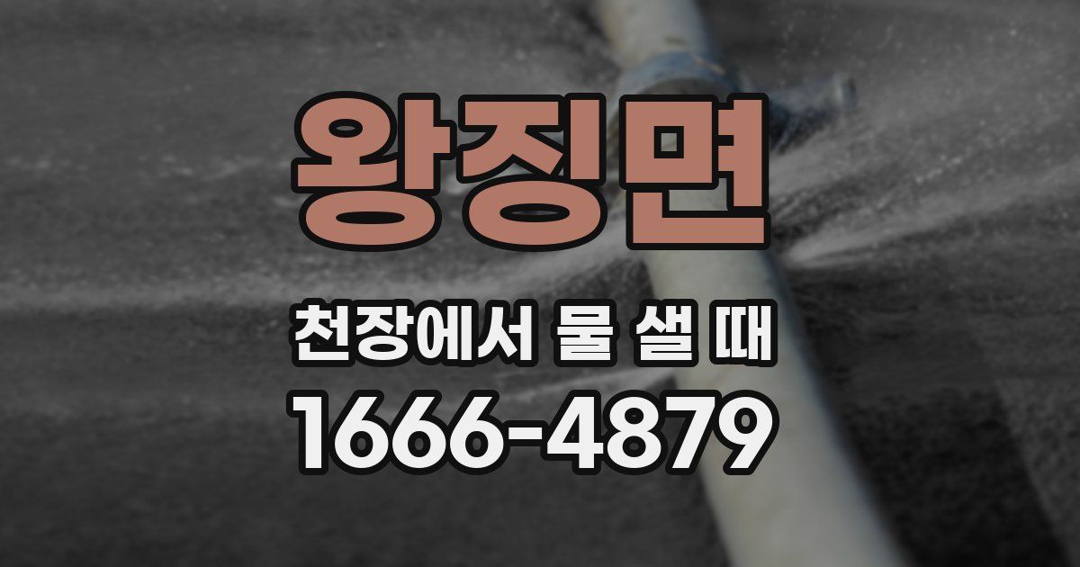 왕징면 천장에서 물 샐 때