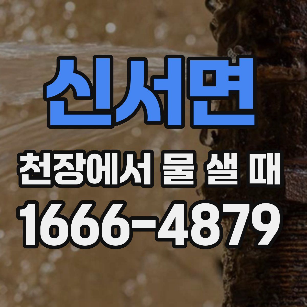신서면 천장에서 물 샐 때