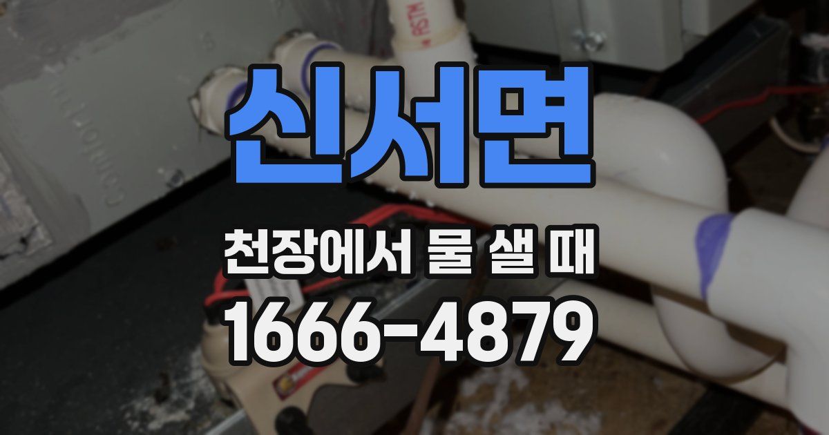 신서면 천장에서 물 샐 때