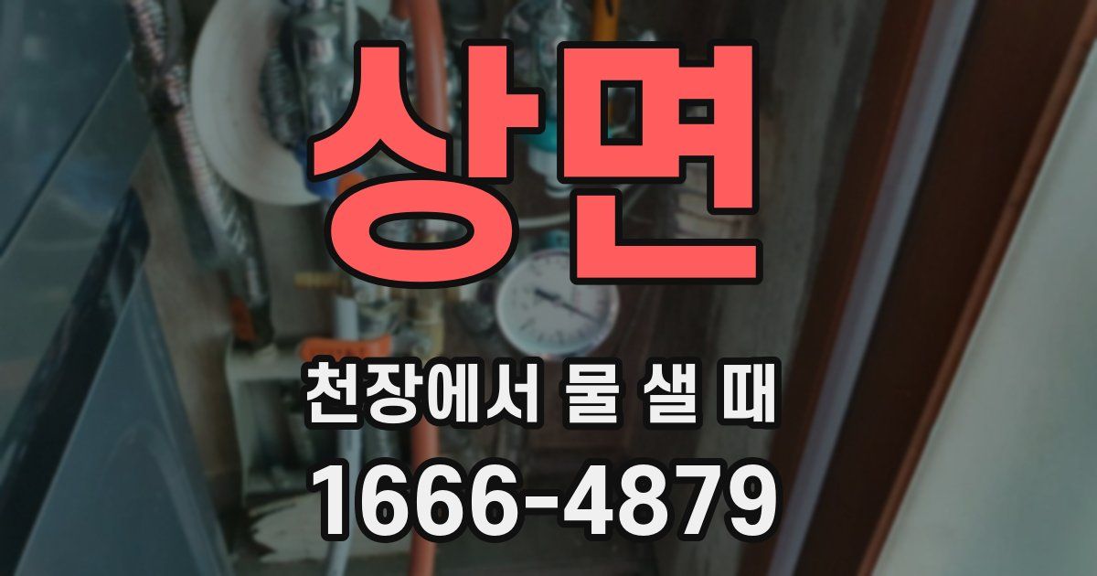 상면 천장에서 물 샐 때