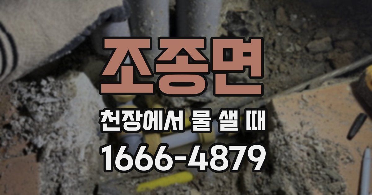 조종면 천장에서 물 샐 때