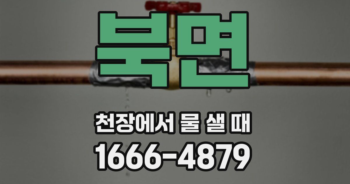 북면 천장에서 물 샐 때