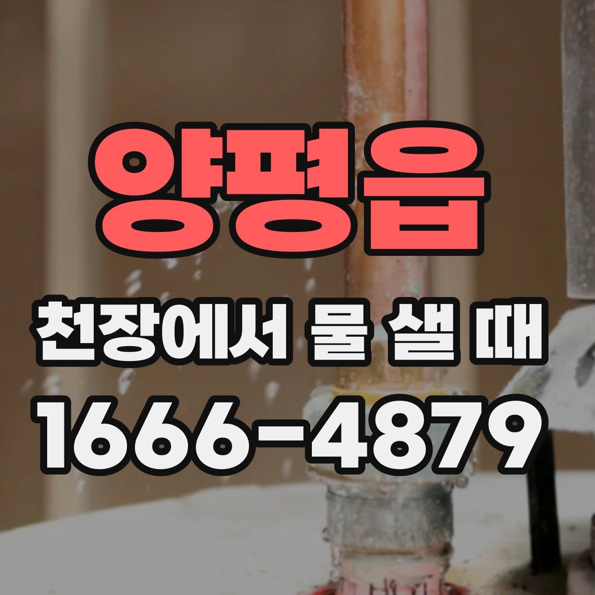 양평읍 천장에서 물 샐 때