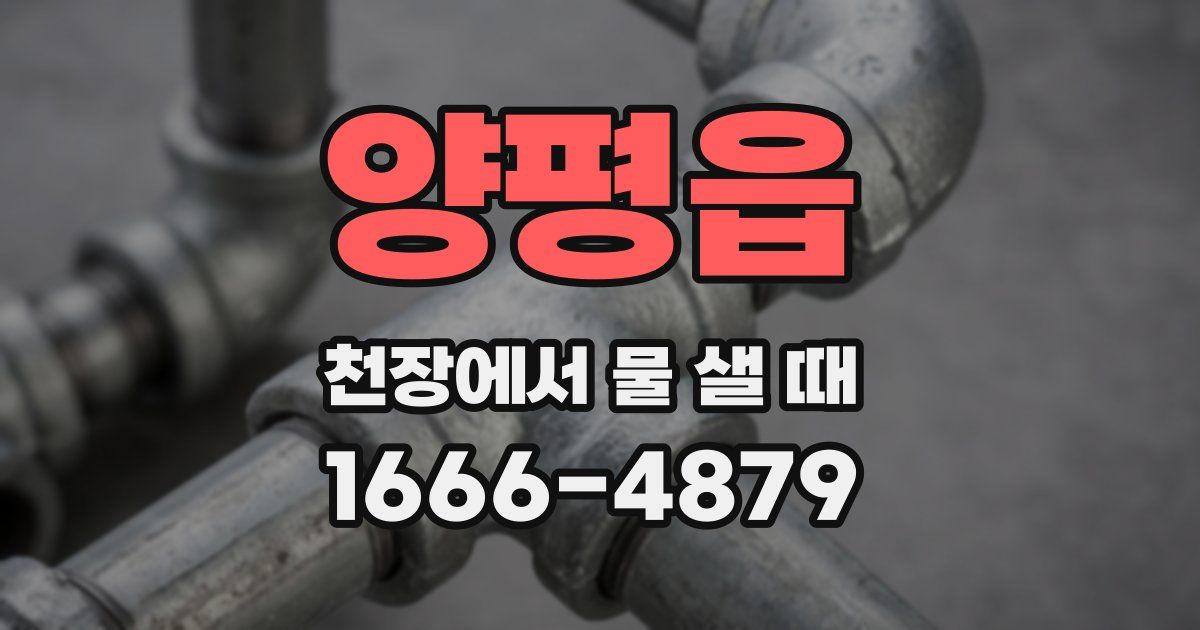 양평읍 천장에서 물 샐 때