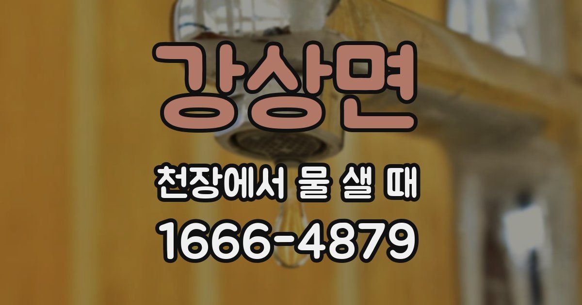 강상면 천장에서 물 샐 때
