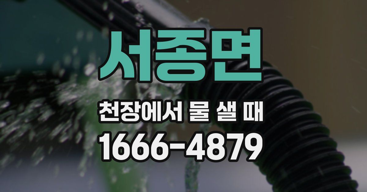 서종면 천장에서 물 샐 때