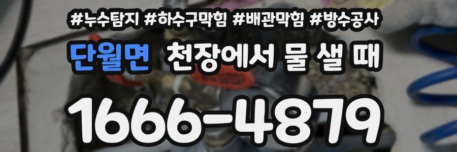 단월면 천장에서 물 샐 때