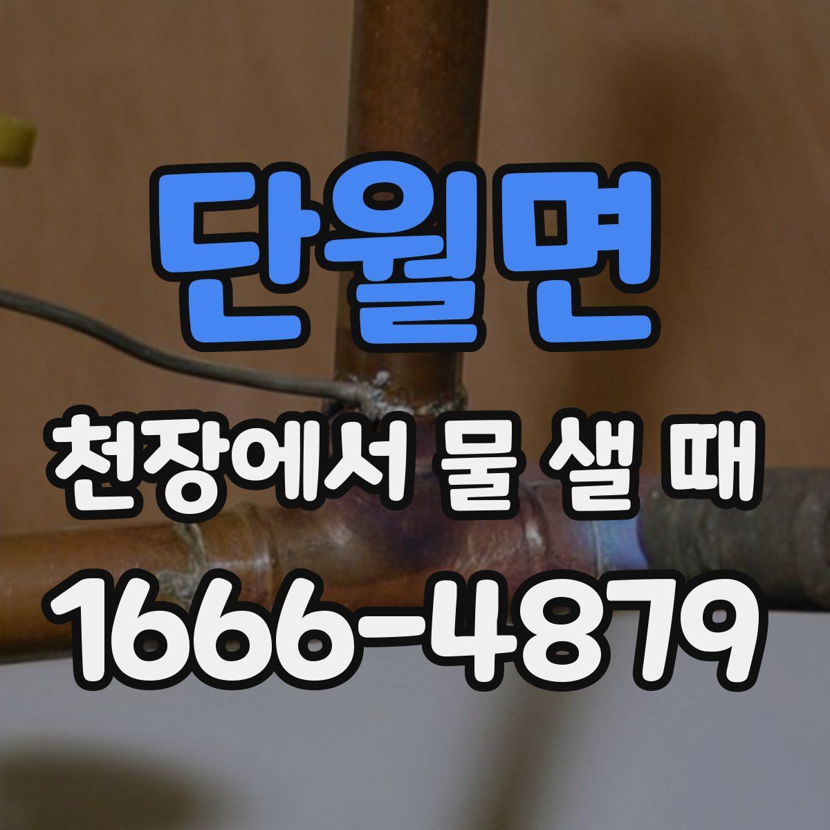 단월면 천장에서 물 샐 때