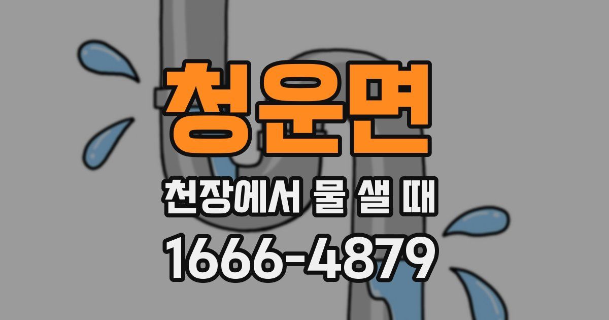 청운면 천장에서 물 샐 때