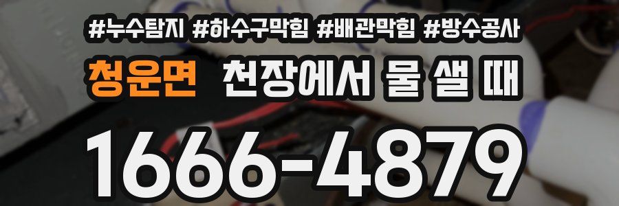 청운면 천장에서 물 샐 때