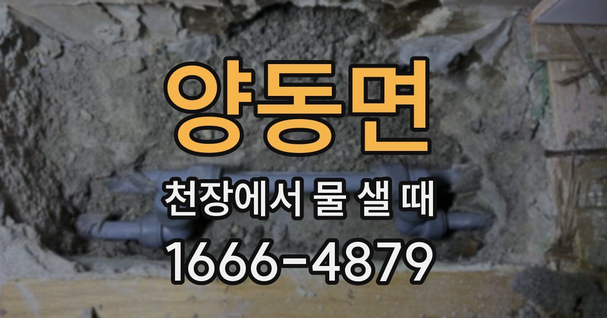 양동면 천장에서 물 샐 때