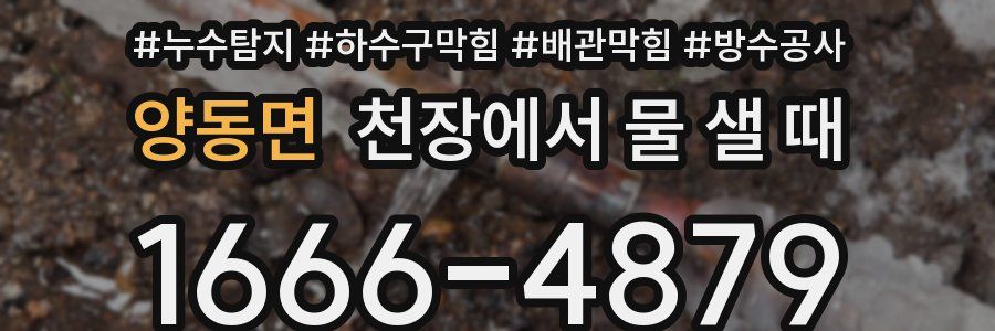 양동면 천장에서 물 샐 때