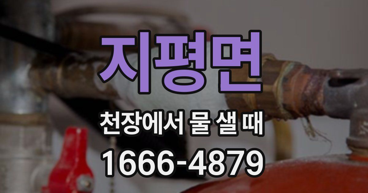 지평면 천장에서 물 샐 때