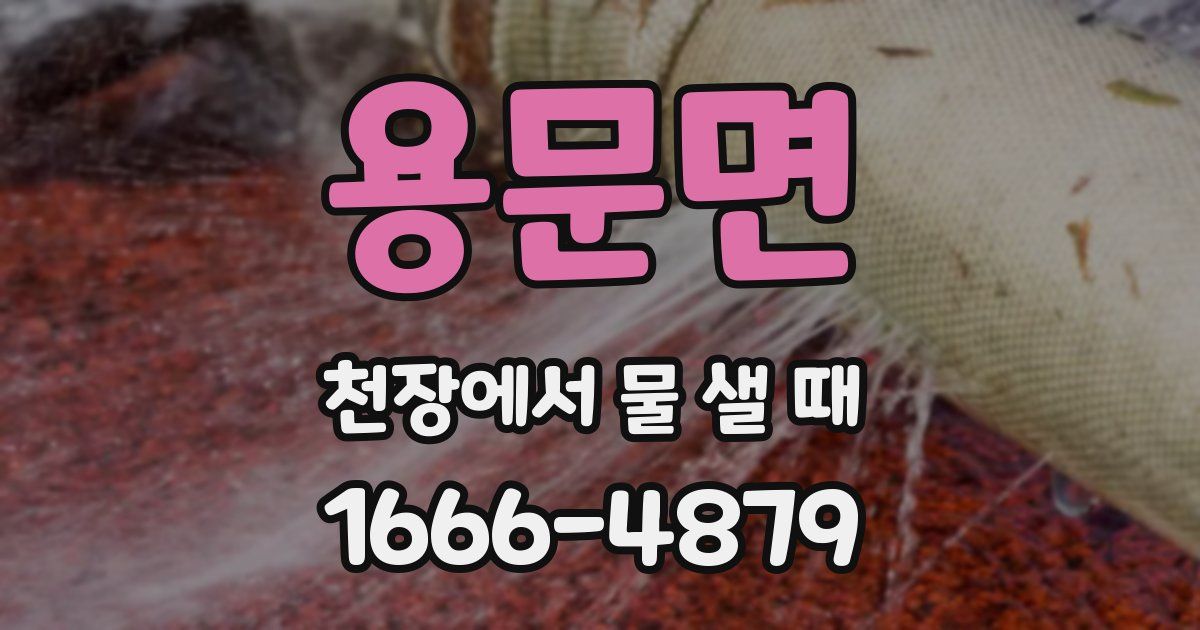 용문면 천장에서 물 샐 때