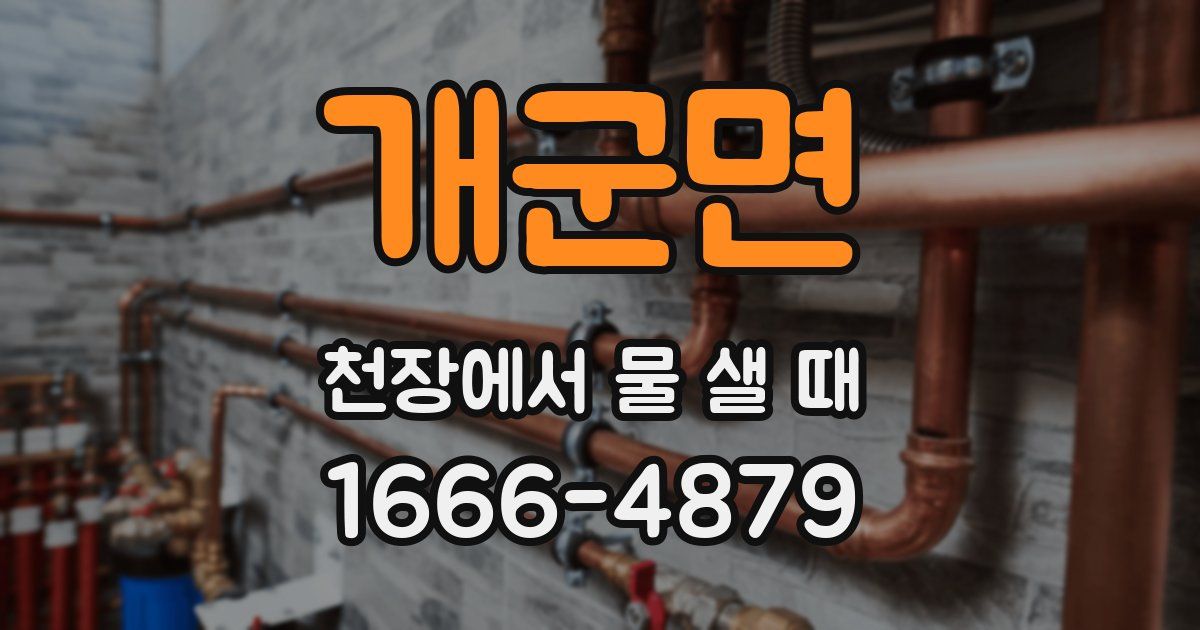 개군면 천장에서 물 샐 때