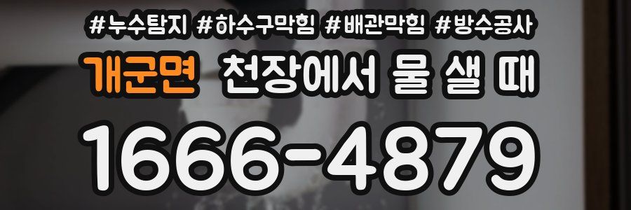 개군면 천장에서 물 샐 때