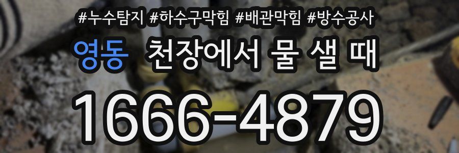 영동 천장에서 물 샐 때