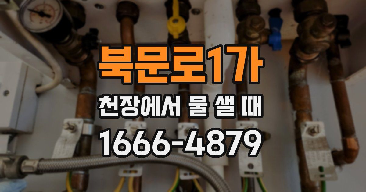 북문로1가 천장에서 물 샐 때