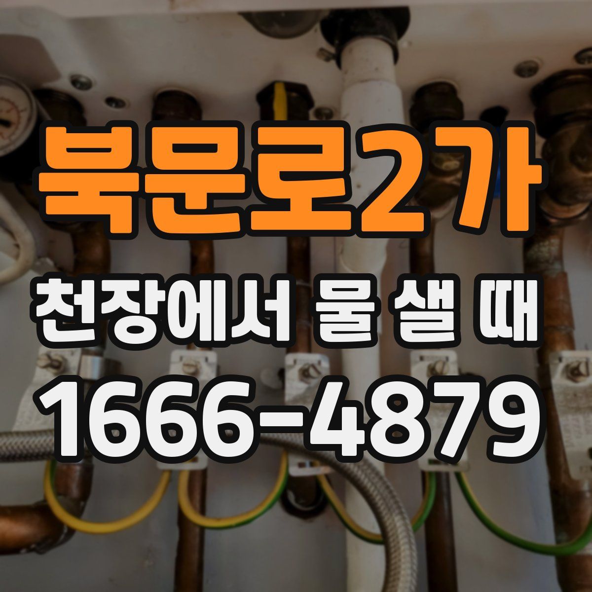 북문로2가 천장에서 물 샐 때
