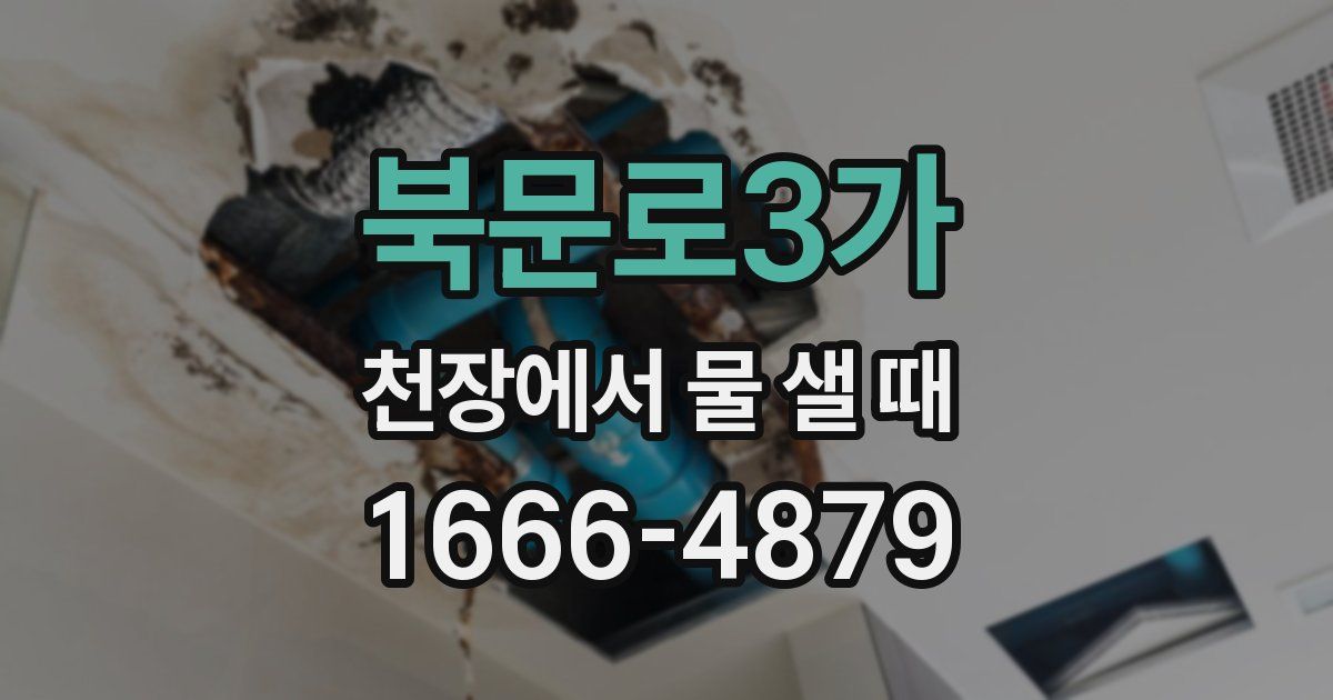 북문로3가 천장에서 물 샐 때
